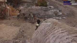 【好色龍】刺客教條奧德賽24-你看我的熊熊這麼毛20181105